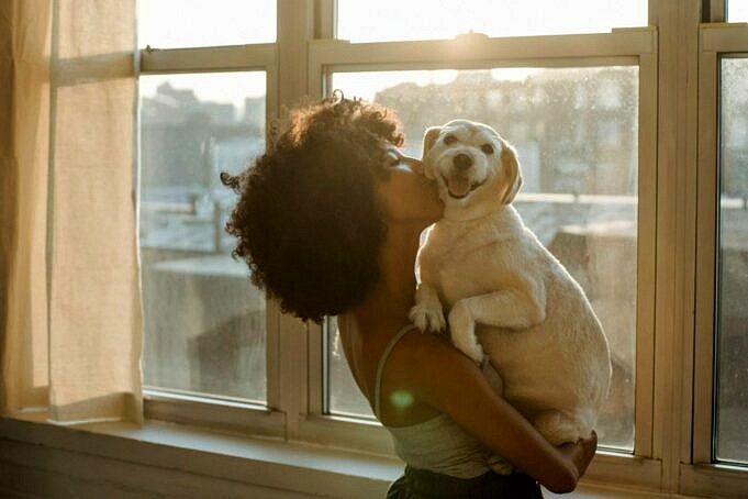 11 Gründe, Warum Ihr Hund Sie So Sehr Liebt, Dass Es Wehtut