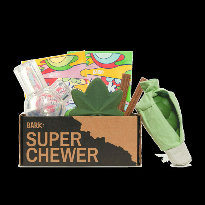 BarkBox Super Chewer Vs Bullymake Box – Was Ist Besser