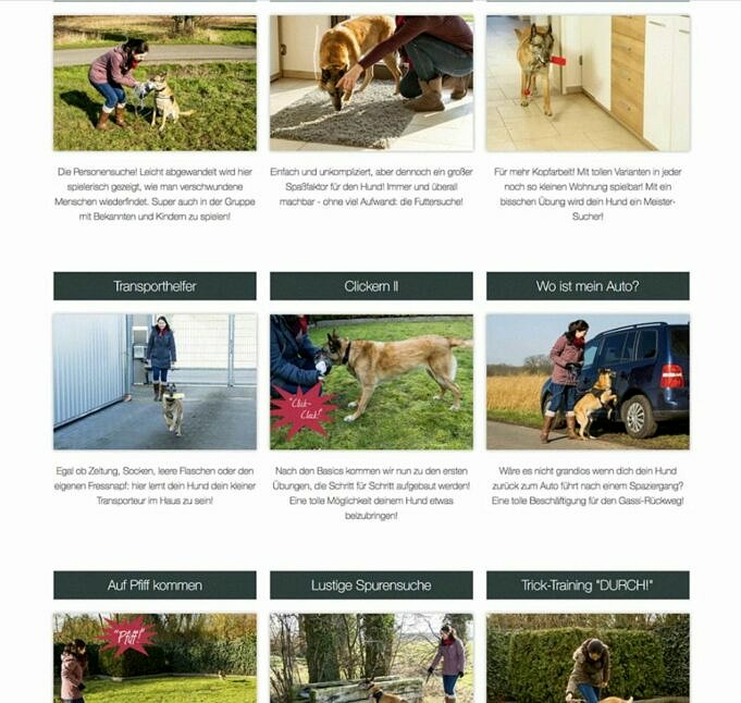 Die Besten Online-Hundetrainingskurse. Professionelle Hilfe Zu Hause