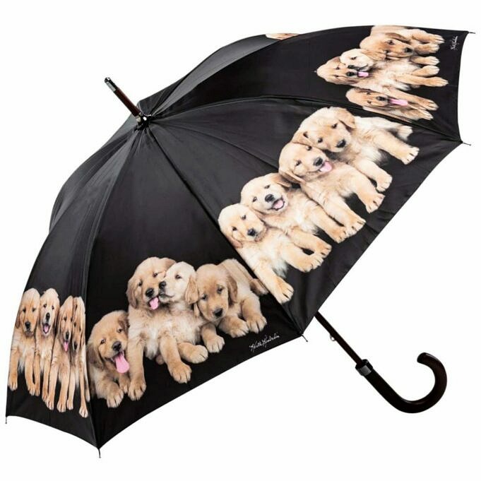 Die Besten Regenschirme Fuer Hunde Bewertung
