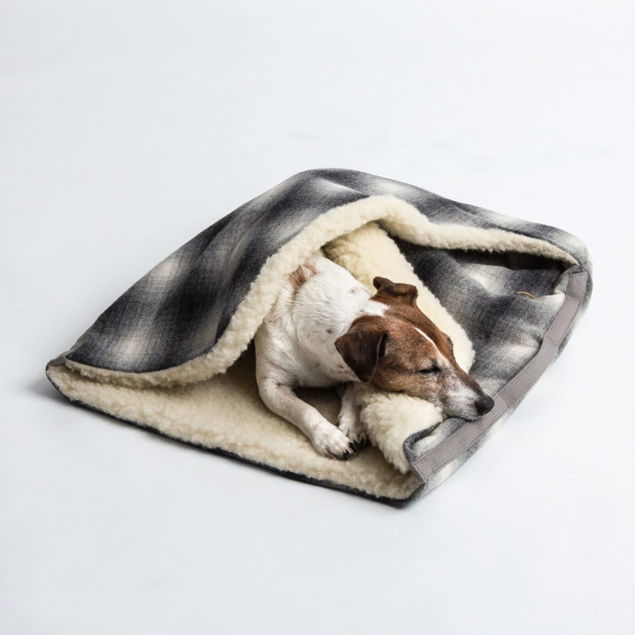 Die Besten Schlafsäcke Für Hunde (Bewertung)