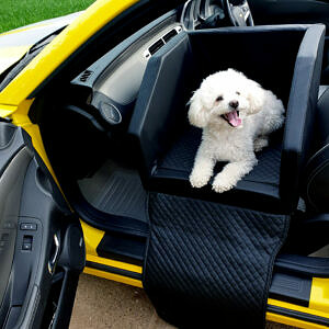 Mit Sicherheitsgurt Geeignet für kleine und mittlere Hunde Es kann vorne oder hinten im Auto platziert Werden Fiasian Hund Autositz PVC Starke Unterstützung 