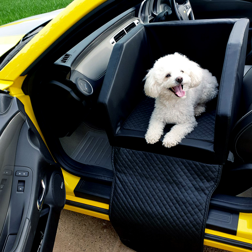 2-in-1 rutschfest Sitzerhöhung Hunde Autositz mit Gurt Universal Wasserdicht Hundesitz Auto für Kleine und Mittlere Hunde Loozykit Hunde Autositz für Hunde Schwarz und Weiße Streifen 