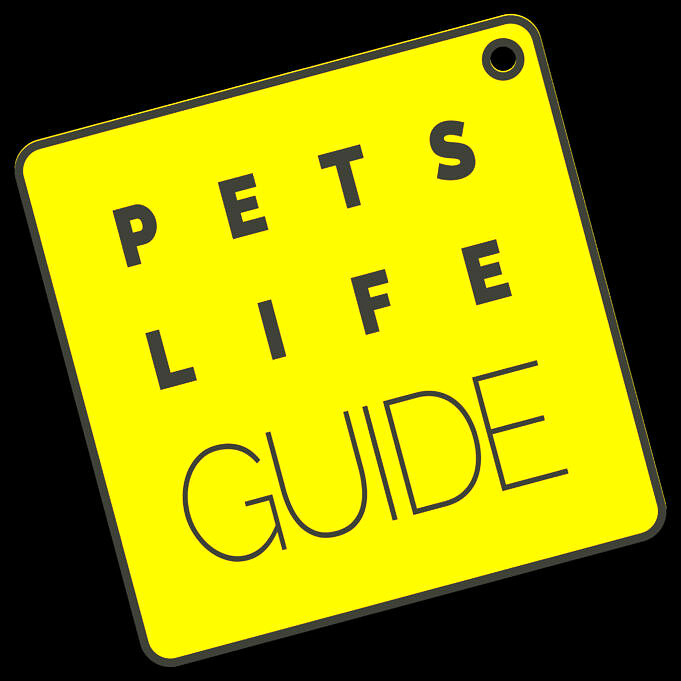 PetSafe Stay Und Kabelloser Hundezaun Im Test – Zuverlässig?