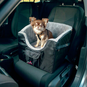 Sichere Reise mit dem Hunde Autositz