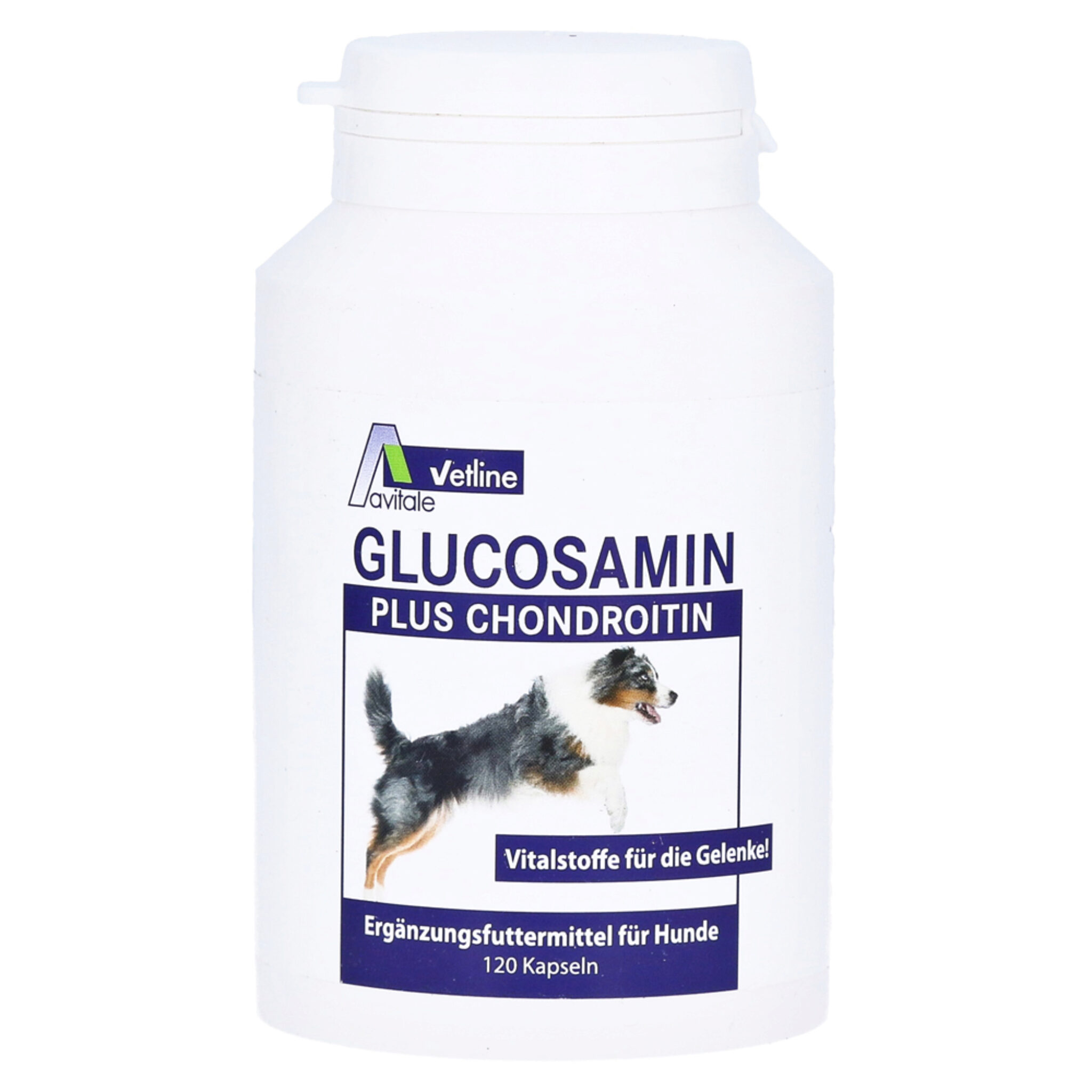 Wie Viel Glucosamin Sollte Ein Hund Einnehmen